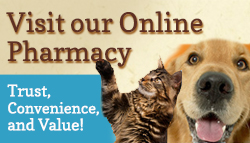 Button for online pharmacy.